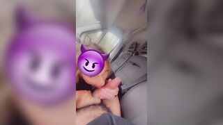  bonne chienn en voiture