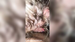  bonne petite suceuse